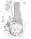 Fig. 06 - Front structure of saddle ride type vehicle