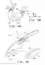 Fig. 11 - Front structure of saddle ride type vehicle