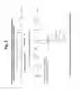 Fig. 03 - Site-selective functionalization of proteins using traceless affinity labels
