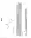 Fig. 04 - Site-selective functionalization of proteins using traceless affinity labels