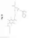 Fig. 13 - Site-selective functionalization of proteins using traceless affinity labels