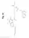 Fig. 15 - Site-selective functionalization of proteins using traceless affinity labels