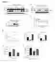 Fig. 07 - Ubiquitin variant modulators of HECT E3 ligases and their uses