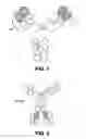Fig. 02 - IL-23p19 monoclonal antibodies