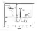 Fig. 02 - Spheroid forming culture container using temperature-sensitive glycol chitosan derivative, and spheroid forming method using same