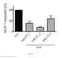 Fig. 04 - Methods of preserving and protecting pancreatic beta cells and treating or preventing diabetes by inhibiting NOX-1