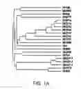 Fig. 02 - Biological indicator