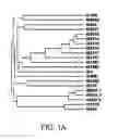 Fig. 02 - Biological indicator
