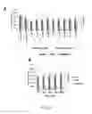 Fig. 06 - Methods and Apparatus for Nanoparticle-assisted Nucleic Acid Amplification, Hybridization and Microarray Analysis