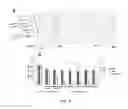 Fig. 09 - Methods and Apparatus for Nanoparticle-assisted Nucleic Acid Amplification, Hybridization and Microarray Analysis