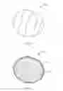 Fig. 02 - TOILET ODOR REDUCING EXPANDABLE BALL