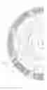 Fig. 01 - Spring assembly and lock-up device for torque converter including same