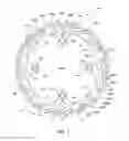 Fig. 02 - Bicycle chain rings