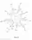 Fig. 05 - LIGHT BULB INSERTION GUIDE AND METHOD OF USE