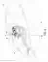 Fig. 07 - Terminal block assembly