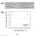 Fig. 08 - Coulometric microfluidic sensors using a silver band electrode, and methods thereof