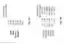 Fig. 22 - Systems and methods for hail activity display