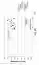 Fig. 03 - Quantification of Nuclear Medicine Image Data