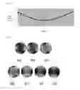 Fig. 08 - Polarizing plate for minimizing reflecting properties in an organic light emitting device