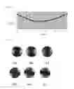 Fig. 13 - Polarizing plate for minimizing reflecting properties in an organic light emitting device
