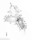 Fig. 07 - Fiber optic wall jack