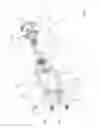Fig. 05 - Device for acquiring optical information