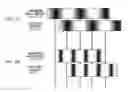 Fig. 09 - Structured illuminating microscopy and structured illuminating observation method