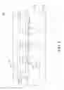 Fig. 02 - Touch sensing display apparatus and method for fabricating same
