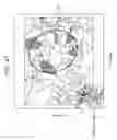 Fig. 46 - INFORMATION PROCESSING DEVICE, INFORMATION PROCESSING METHOD, AND PROGRAM