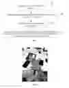 Fig. 02 - METHOD AND ELECTRONIC DEVICE FOR POSITIONING THE CENTER OF PALM