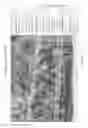 Fig. 13 - Vegetation categorisation