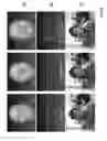 Fig. 09 - METHOD AND DEVICE FOR REGISTERING AN IMAGE TO A MODEL