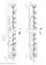 Fig. 07 - Semiconductor device and method of forming encapsulated wafer level chip scale package (EWLCSP)