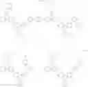Fig. 366 - Plurality of host materials and an organic electroluminescence device comprising the same