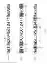 Fig. 02 - Methods of determining a file similarity fingerprint