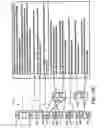 Fig. 43 - Dynamic medical object information base