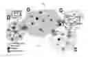 Fig. 01 - Content delivery across heterogeneous networks