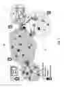 Fig. 02 - Content delivery across heterogeneous networks