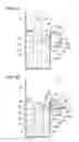 Fig. 05 - Immersion cooling device and seal tank