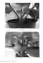 Fig. 03 - Hydrangea plant named 'BCHY-10.P14'