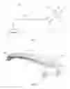 Fig. 02 - Pivot irrigation system and components