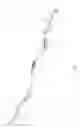 Fig. 02 - Looping Leash and Collar
