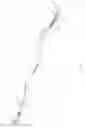Fig. 03 - Looping Leash and Collar