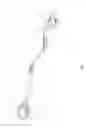 Fig. 04 - Looping Leash and Collar