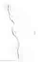 Fig. 05 - Looping Leash and Collar