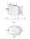 Fig. 03 - SELF RESTORING DECOY