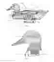 Fig. 09 - Decoy