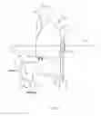 Fig. 06 - Waterfowl decoy