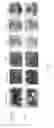 Fig. 02 - Fungicidal compounds and compositions