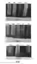 Fig. 06 - Compositions and methods useful for the prevention of malaria and dengue virus transmission